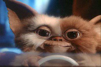 Image Hosted by UploadHouse.com