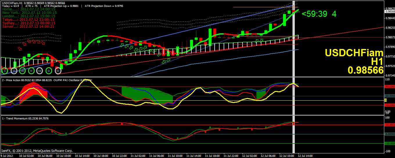 Forex university course