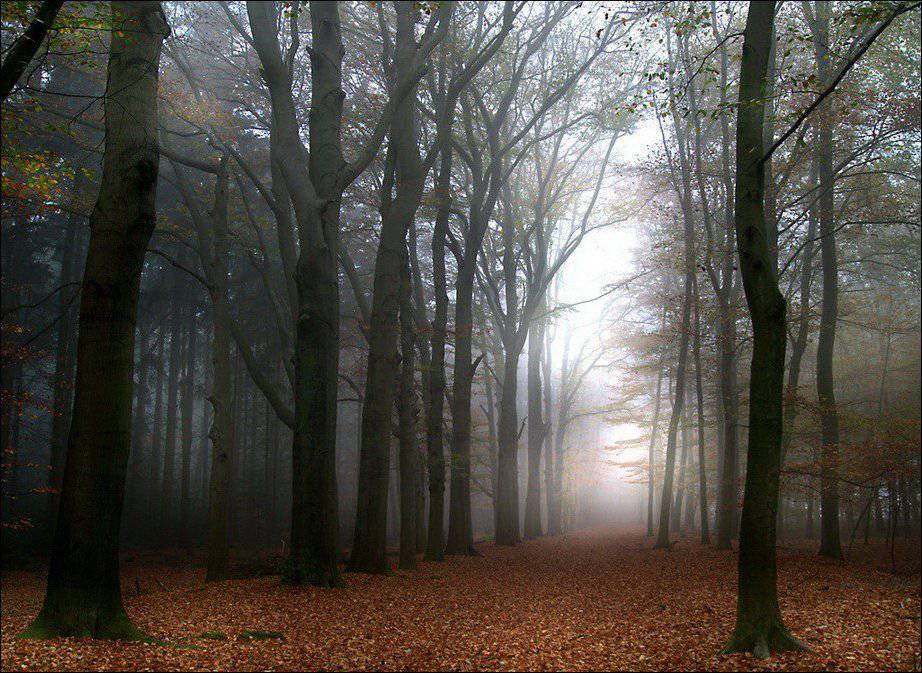 922x673 Barwy jesieni #2 22