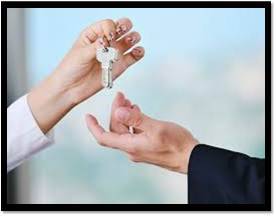 Whitefield local agents