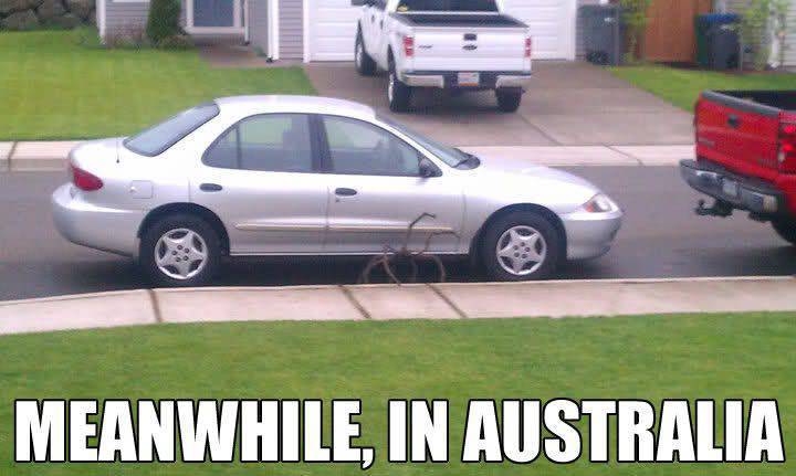 Tymczasem w Australii #2 1