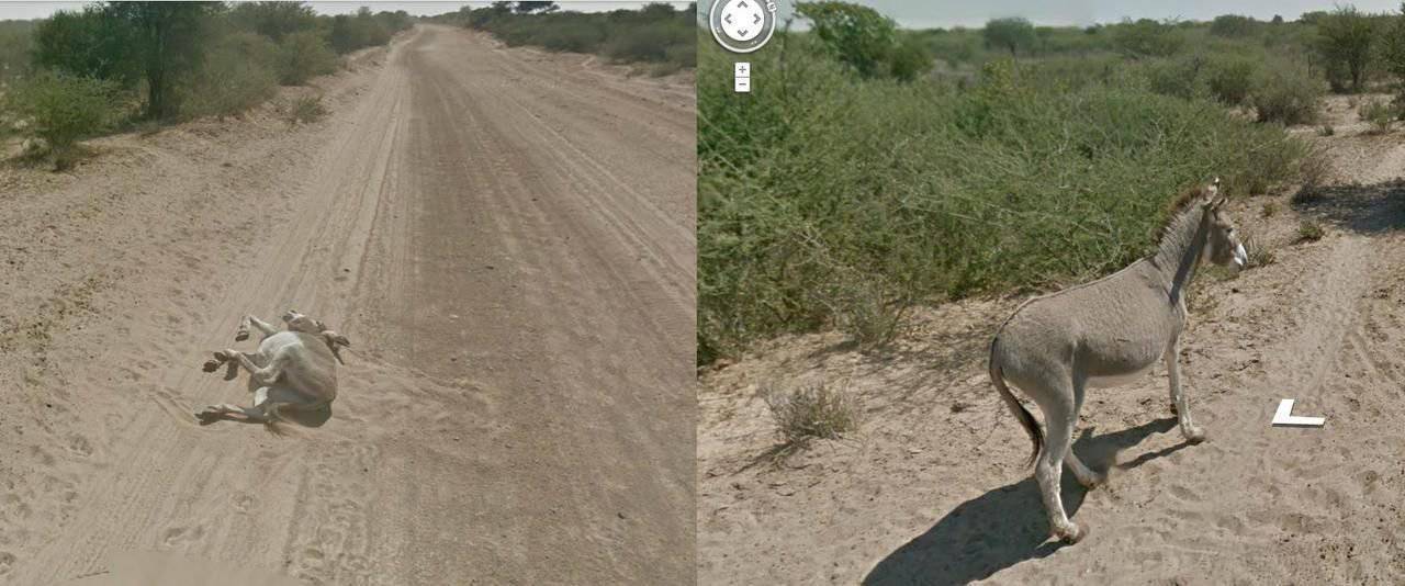 1280x534 Nietypowe sceny z Google Street View #2 29