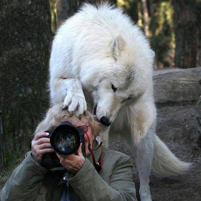 Foto pobudka #1005 49