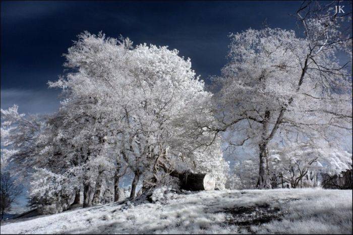 Fotografia w podczerwieni 26