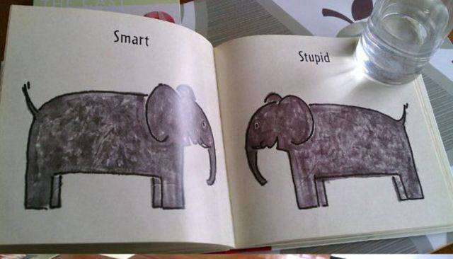 libro libro