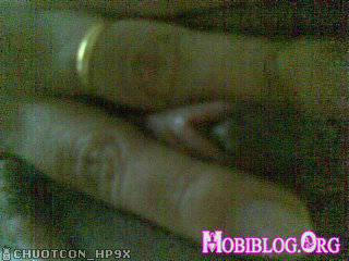 © Mobiblog.Org