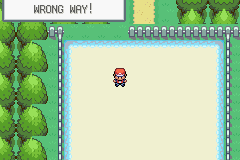 [PokeCommunity.com] Pokemon: (Happiness)