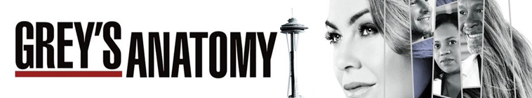 Greys Anatomy S14E23 720p HDTV x264-KILLERS Greys Anatomy S14E23 720p HDTV x264-KILLERS