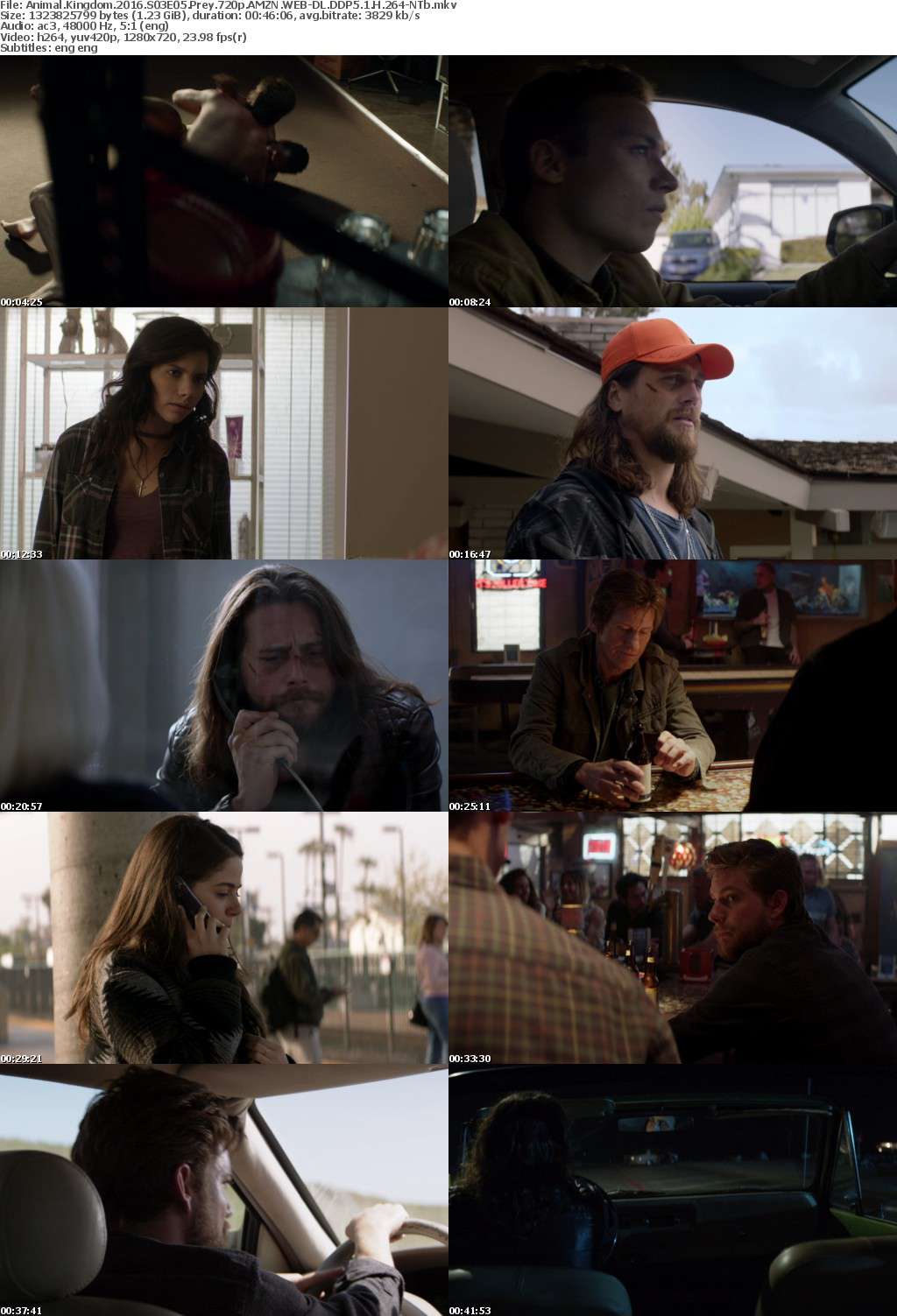 Animal Kingdom 2016 S03E05 Prey 720p AMZN WEB-DL DDP5 1 H 264-NTb Animal Kingdom 2016 S03E05 Prey 720p AMZN WEB-DL DDP5 1 H 264-NTb