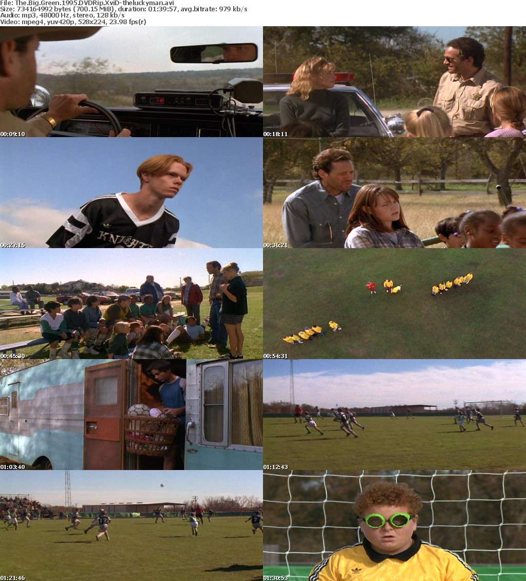 The Big Green 1995 DVDRip x264-NoRBiT The Big Green 1995 DVDRip x264-NoRBiT