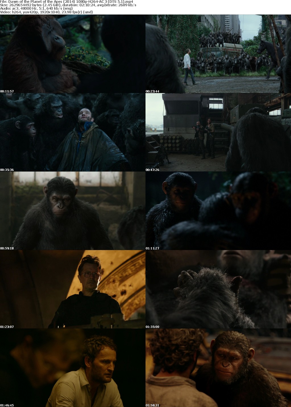 Dawn of the Planet of the Apes (2014) 1080p BluRay H264 AC 3-nickarad