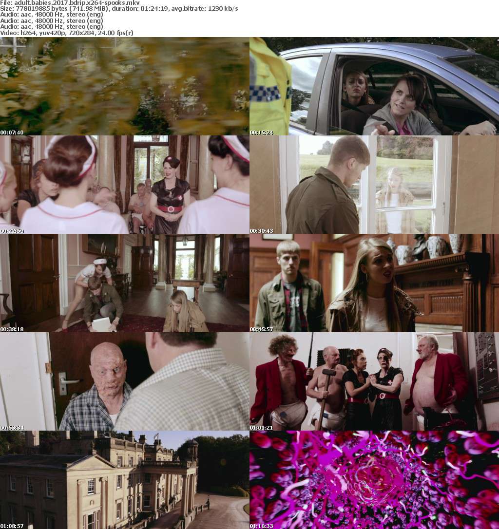 Adult Babies (2017) BDRip x264-SPOOKS