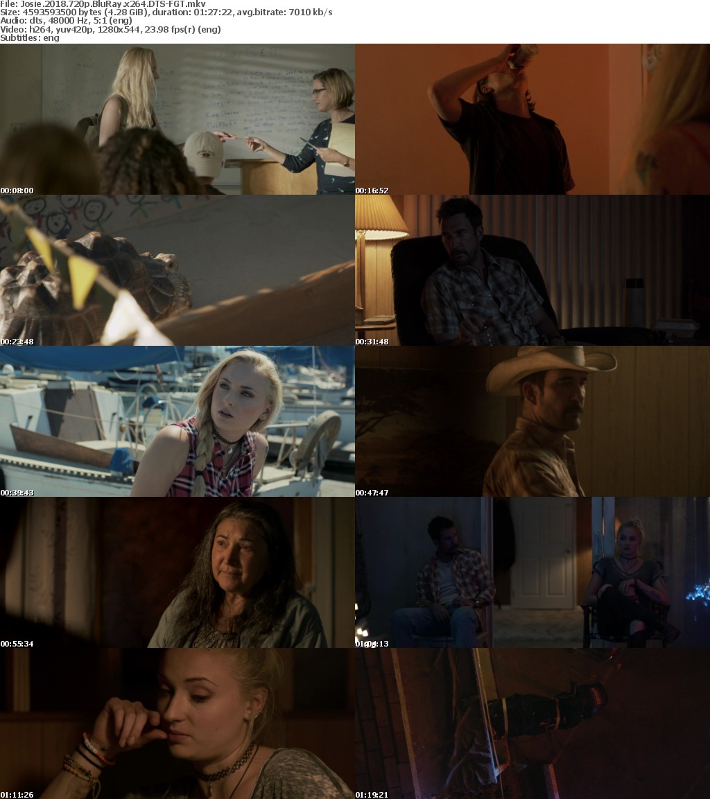 Josie (2018) 720p BluRay x264 DTS-FGT