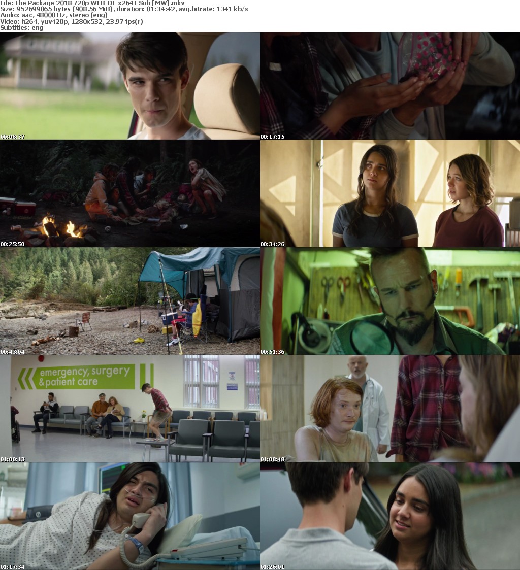 The Package (2018) 720p WEB-DL x264 ESub MW