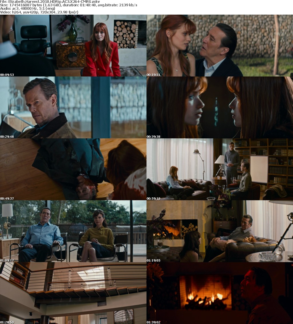 Elizabeth Harvest (2018) HDRip AC3 X264-CMRG