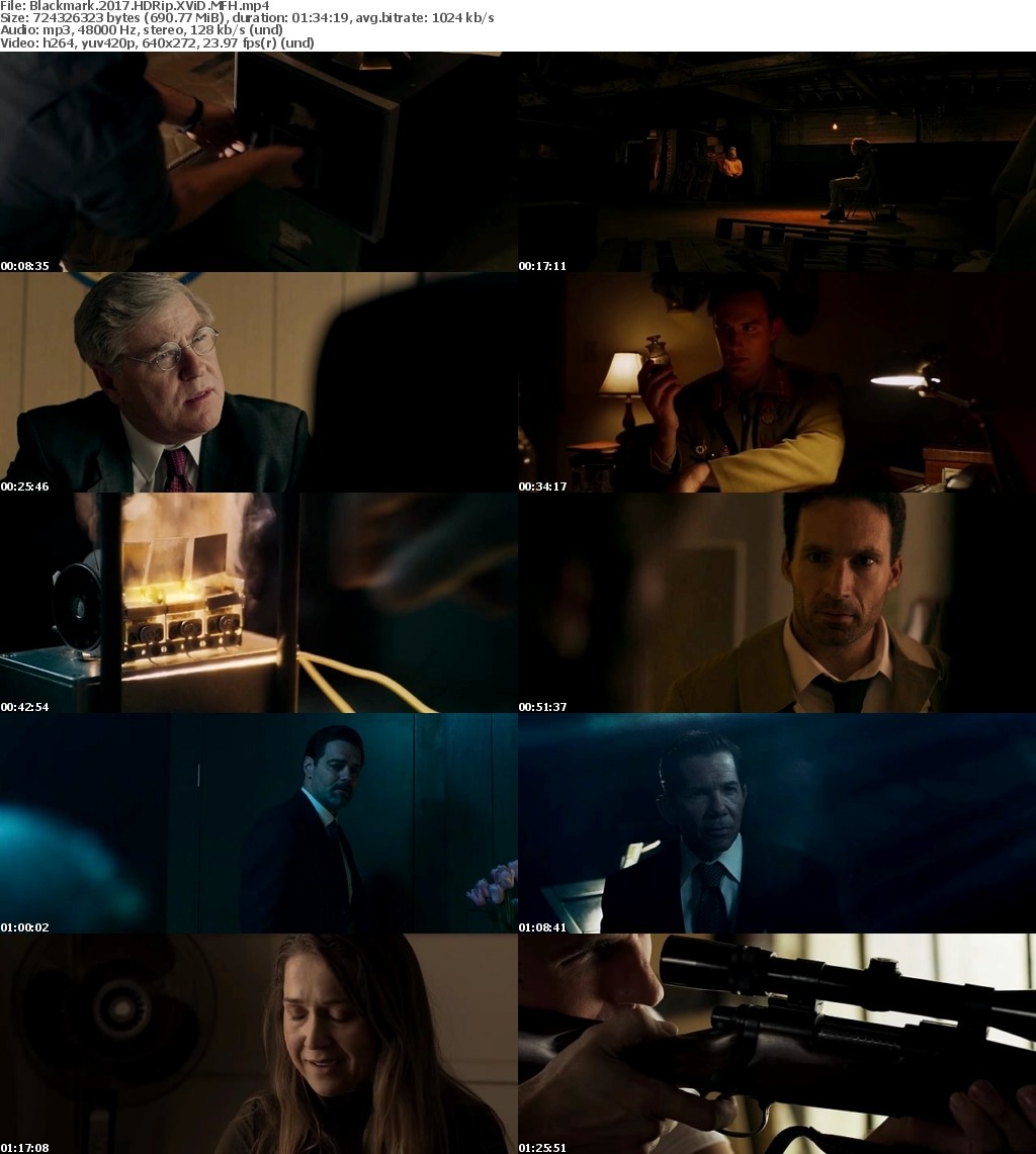 Blackmark (2017) HDRip XViD MFH