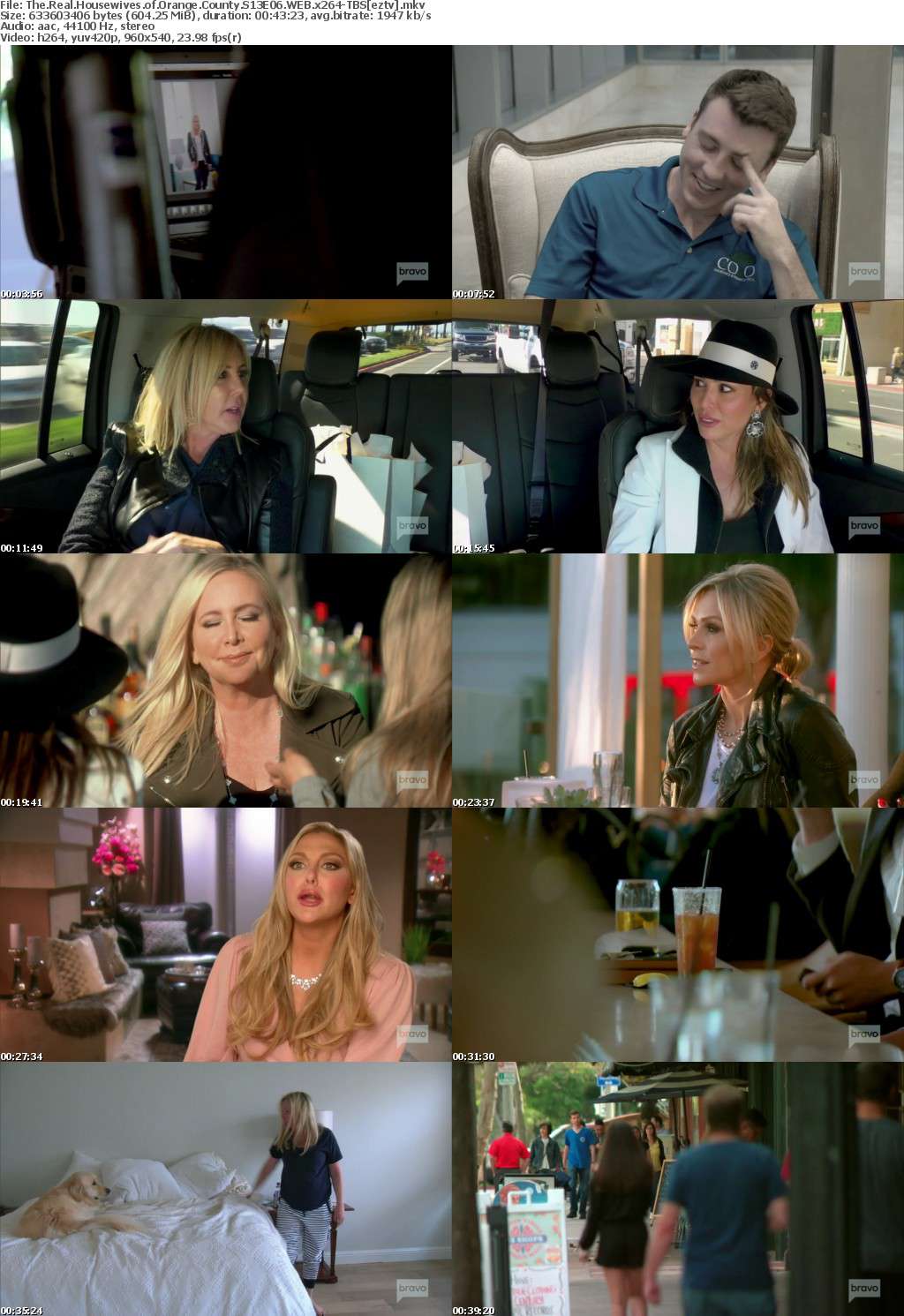 The Real Housewives of Orange County S13E06 WEB x264-TBS