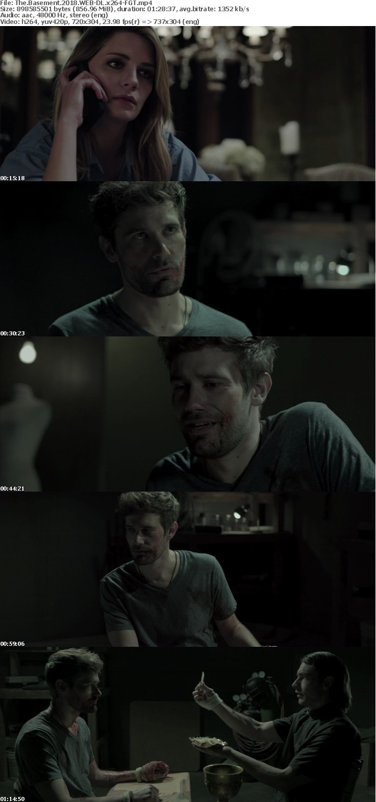 The Basement 2018 WEB-DL x264-FGT The Basement 2018 WEB-DL x264-FGT