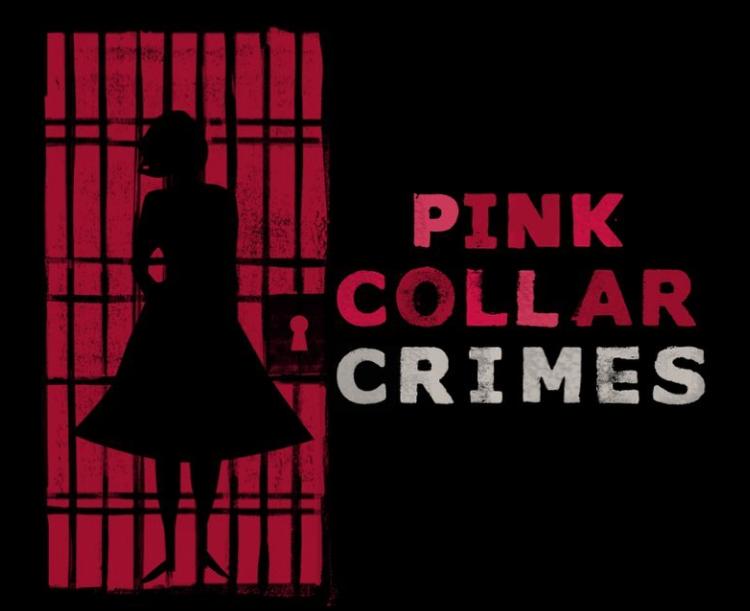 Pink Collar Crimes S01E08 WEB x264-TBS