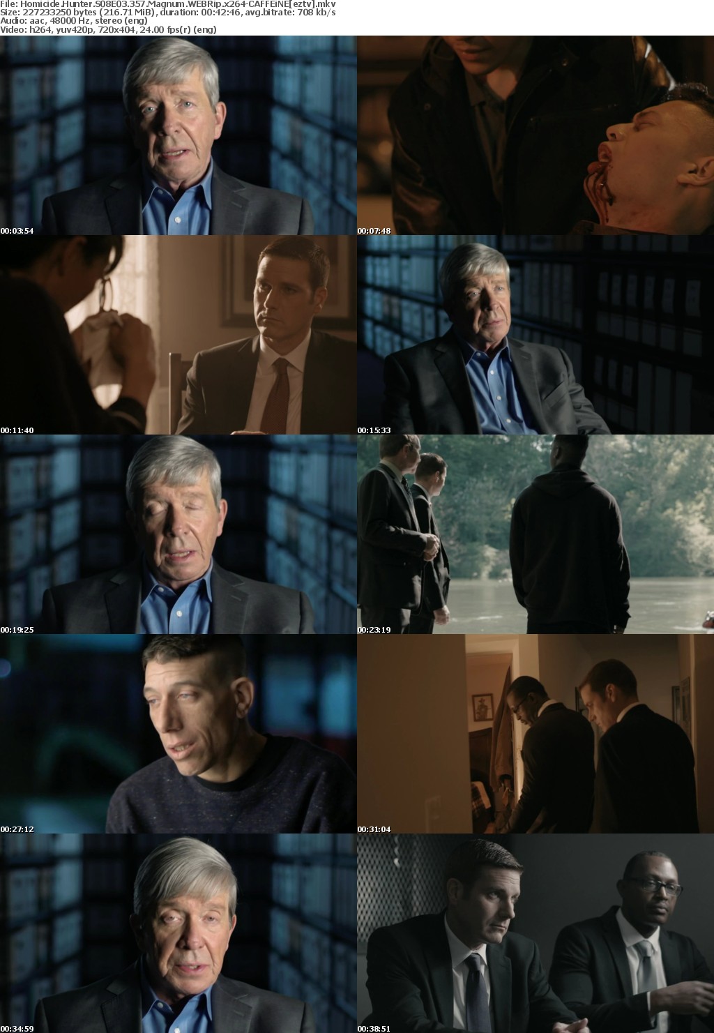 Homicide Hunter S08E03 357 Magnum WEBRip x264-CAFFEiNE