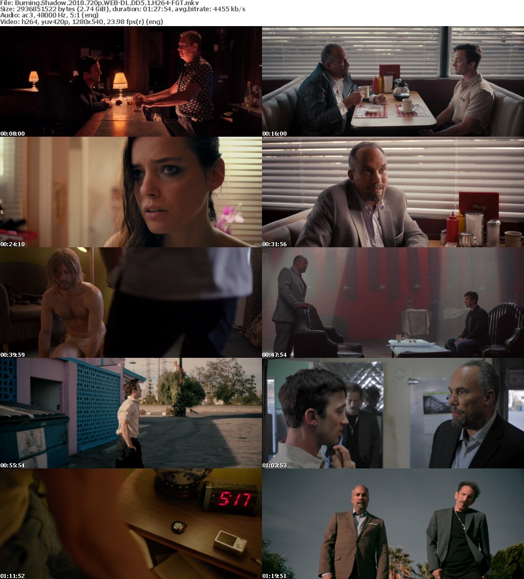 Burning Shadow (2018) 720p WEB-DL DD5.1 H264-FGT