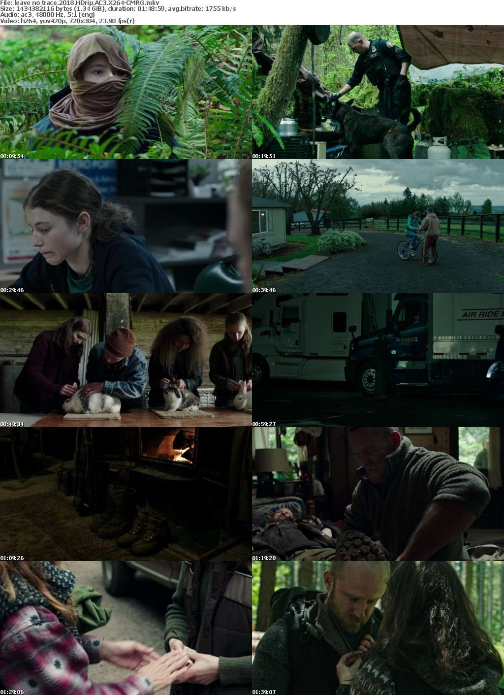 Leave No Trace (2018) HDrip AC3 X264-CMRG