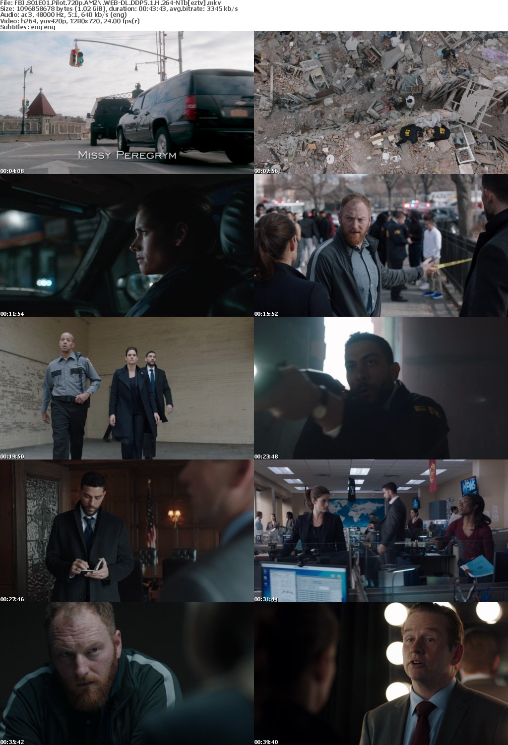 FBI S01E01 Pilot 720p AMZN WEB-DL DDP5.1 H264-NTb