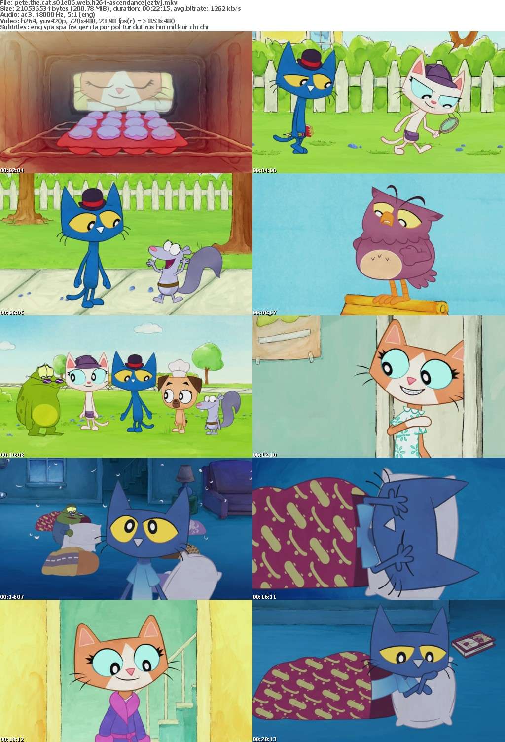 Pete The Cat S01E06 WEB h264-ASCENDANCE