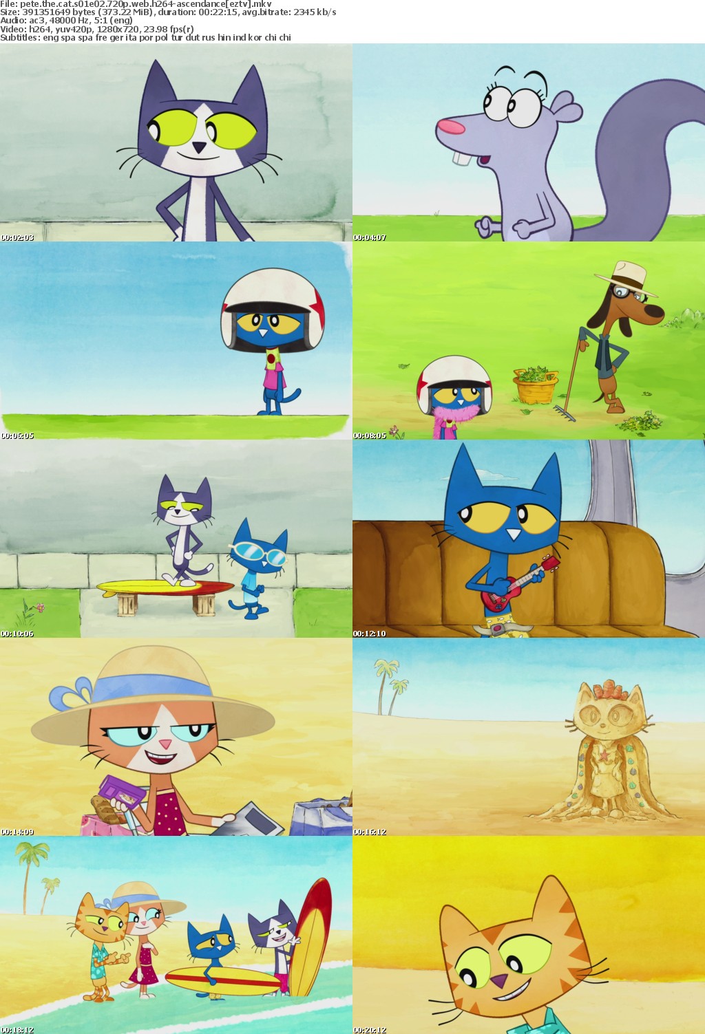 Pete The Cat S01E02 720p WEB h264-ASCENDANCE