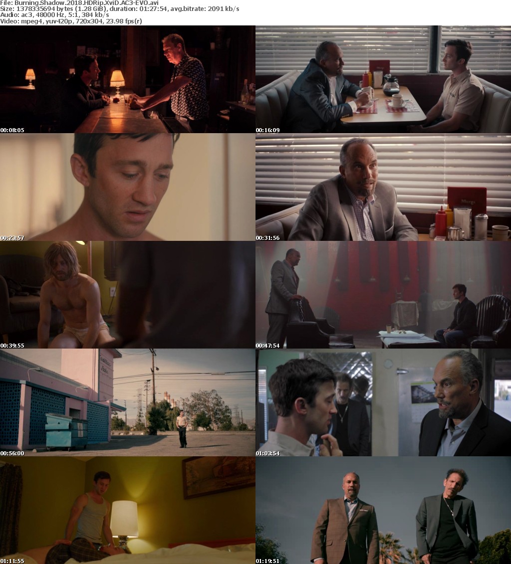 Burning Shadow (2018) HDRip XviD AC3-EVO