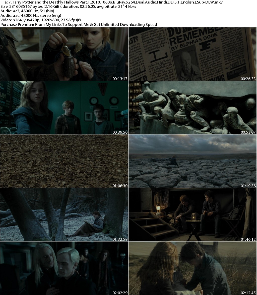 Harry Potter and the Deathly Hallows Part 1 (2010) 1080p BluRay x264 Dual Audio Hindi DD 5.1 English ESub-DLW