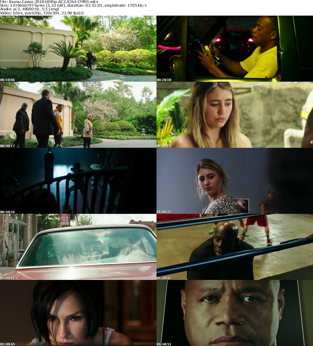 Bayou Caviar (2018) HDRip AC3 X264-CMRG