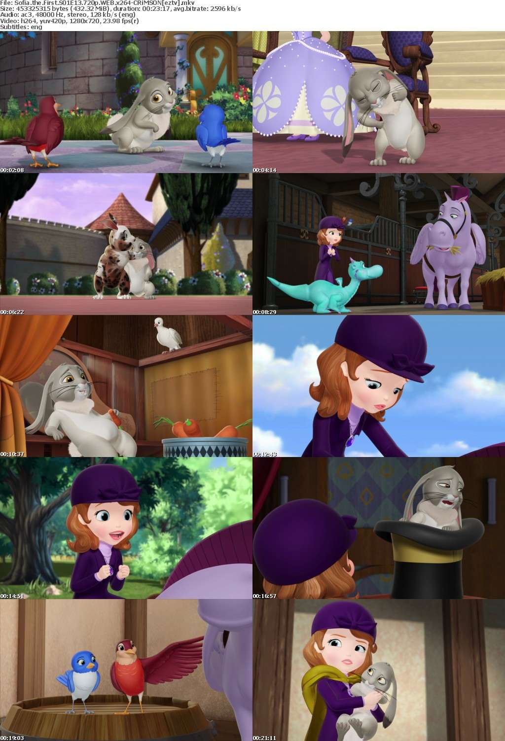 Sofia the First S01E13 720p WEB x264-CRiMSON