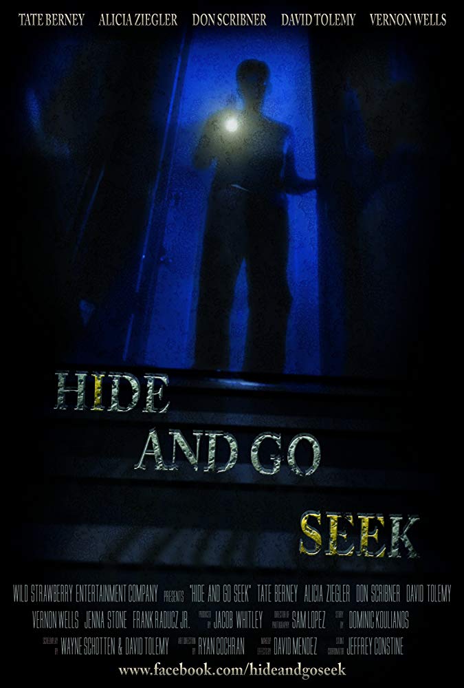 Hide and Go Seek (2018) HDRip XviD AC3-EVO