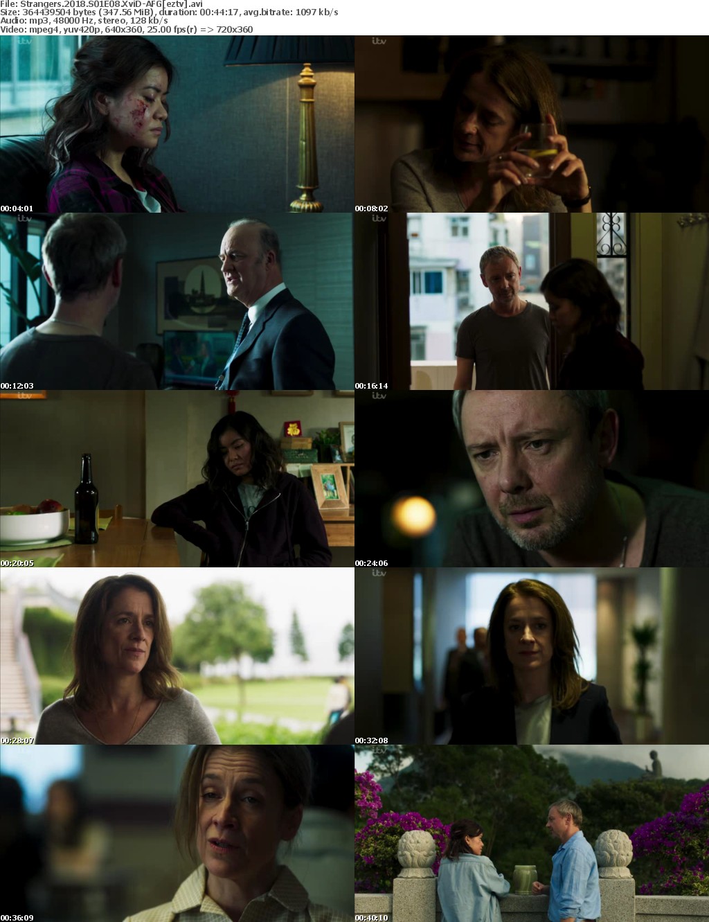 Strangers (2018) S01E08 XviD-AFG