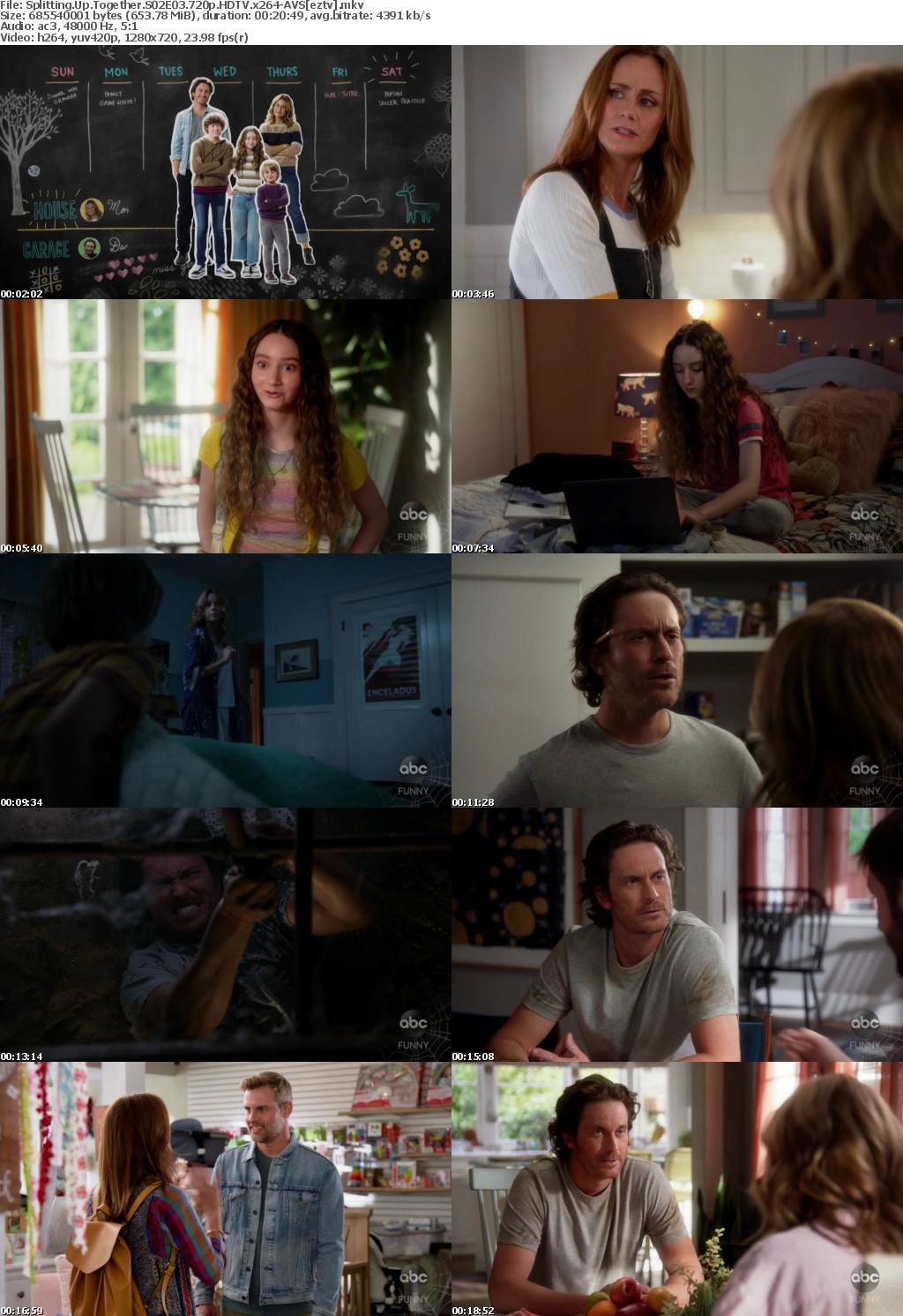 Splitting Up Together S02E03 720p HDTV x264-AVS