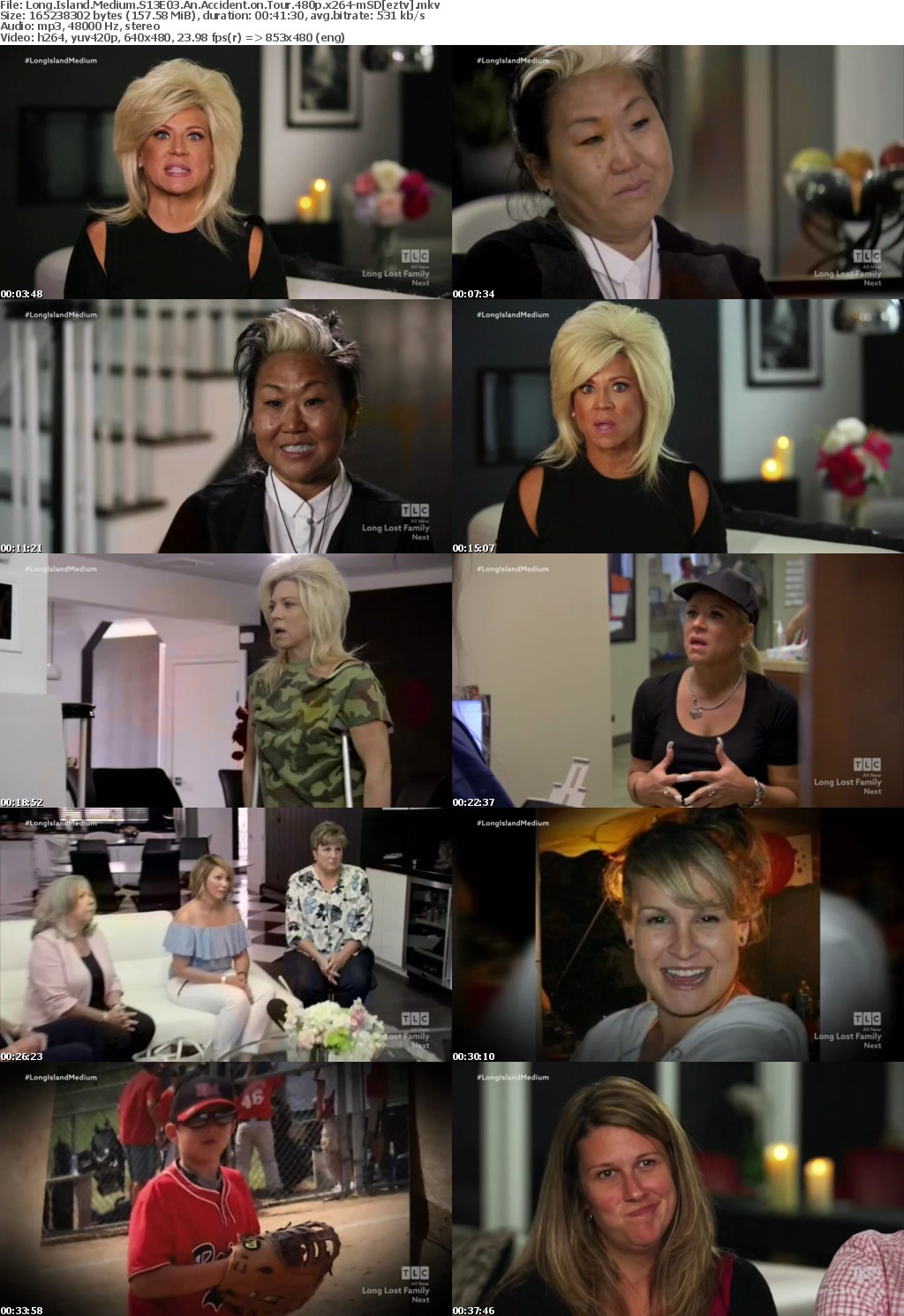 Long Island Medium S13E03 An Accident on Tour 480p x264-mSD