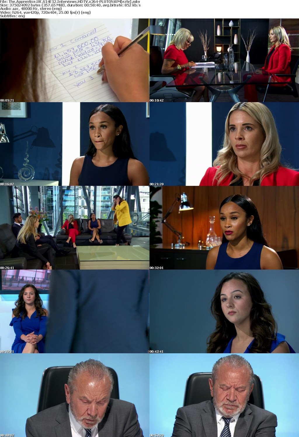 The Apprentice UK S14E12 Interviews HDTV x264-PLUTONiUM