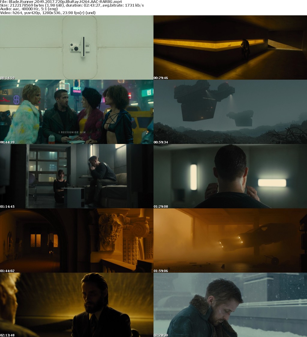 Blade Runner 2049 (2017) 720p BluRay H264 AAC-RARBG