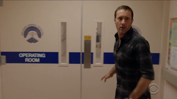 Hawaii Five-0 2010 S09E12 PROPER HDTV x264-W4F Hawaii Five-0 2010 S09E12 PROPER HDTV x264-W4F