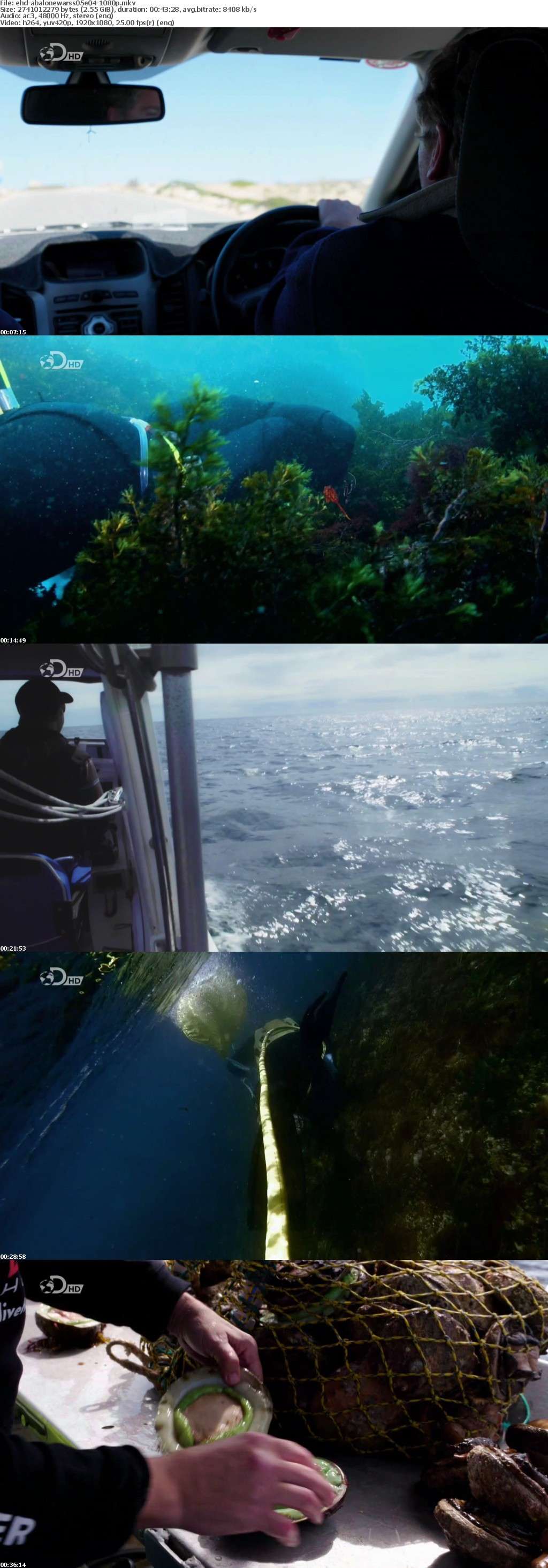 Abalone Wars S05E04 1080p HDTV x264-EHD Abalone Wars S05E04 1080p HDTV x264-EHD