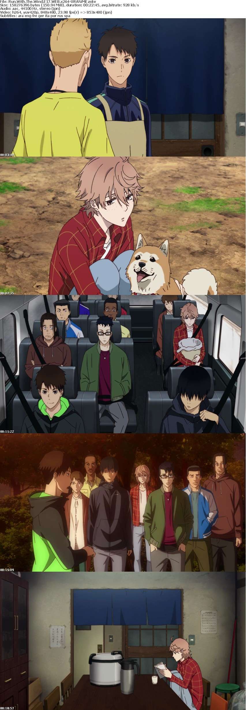 Run With The Wind E17 WEB x264-URANiME Run With The Wind E17 WEB x264-URANiME