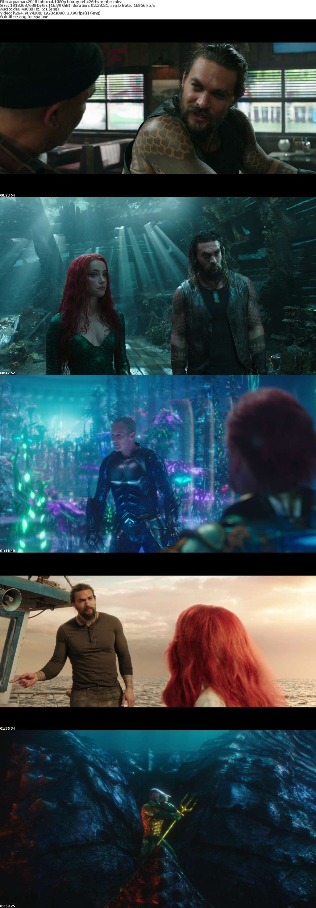 Aquaman 2018 iNTERNAL 1080p BluRay CRF x264-SPRiNTER Aquaman 2018 iNTERNAL 1080p BluRay CRF x264-SPRiNTER