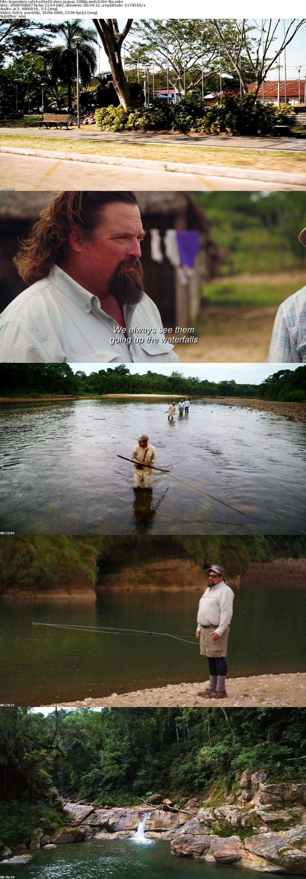 Legendary Catch S01E02 River Jaguar 1080p WEB h264-TBS Legendary Catch S01E02 River Jaguar 1080p WEB h264-TBS