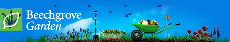 The Beechgrove Garden S41E03 Episode 3 720p iP WEB-DL AAC2 0 H 264-SOIL The Beechgrove Garden S41E03 Episode 3 720p iP WEB-DL AAC2 0 H 264-SOIL