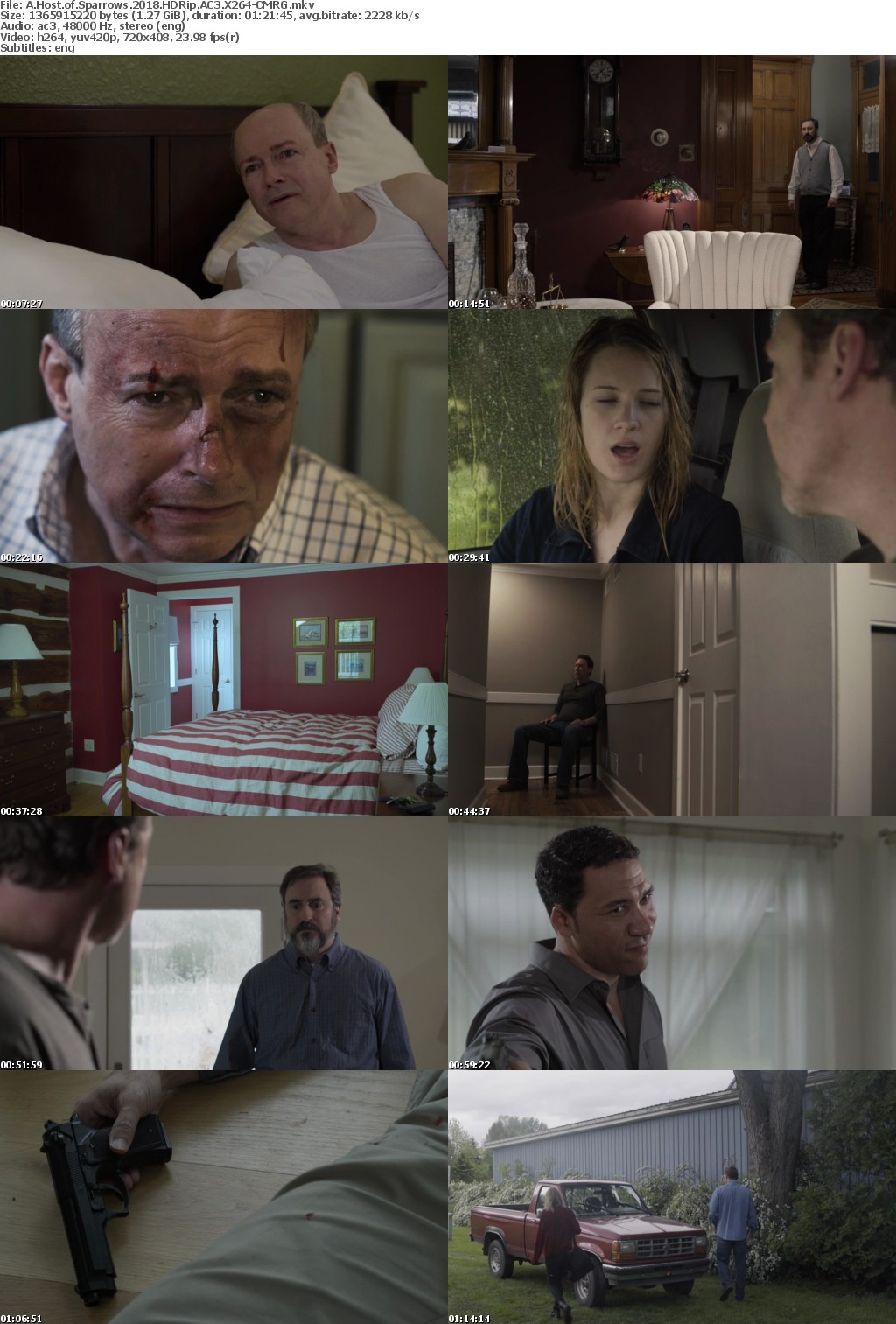 A Host of Sparrows (2018) HDRip AC3 X264-CMRG
