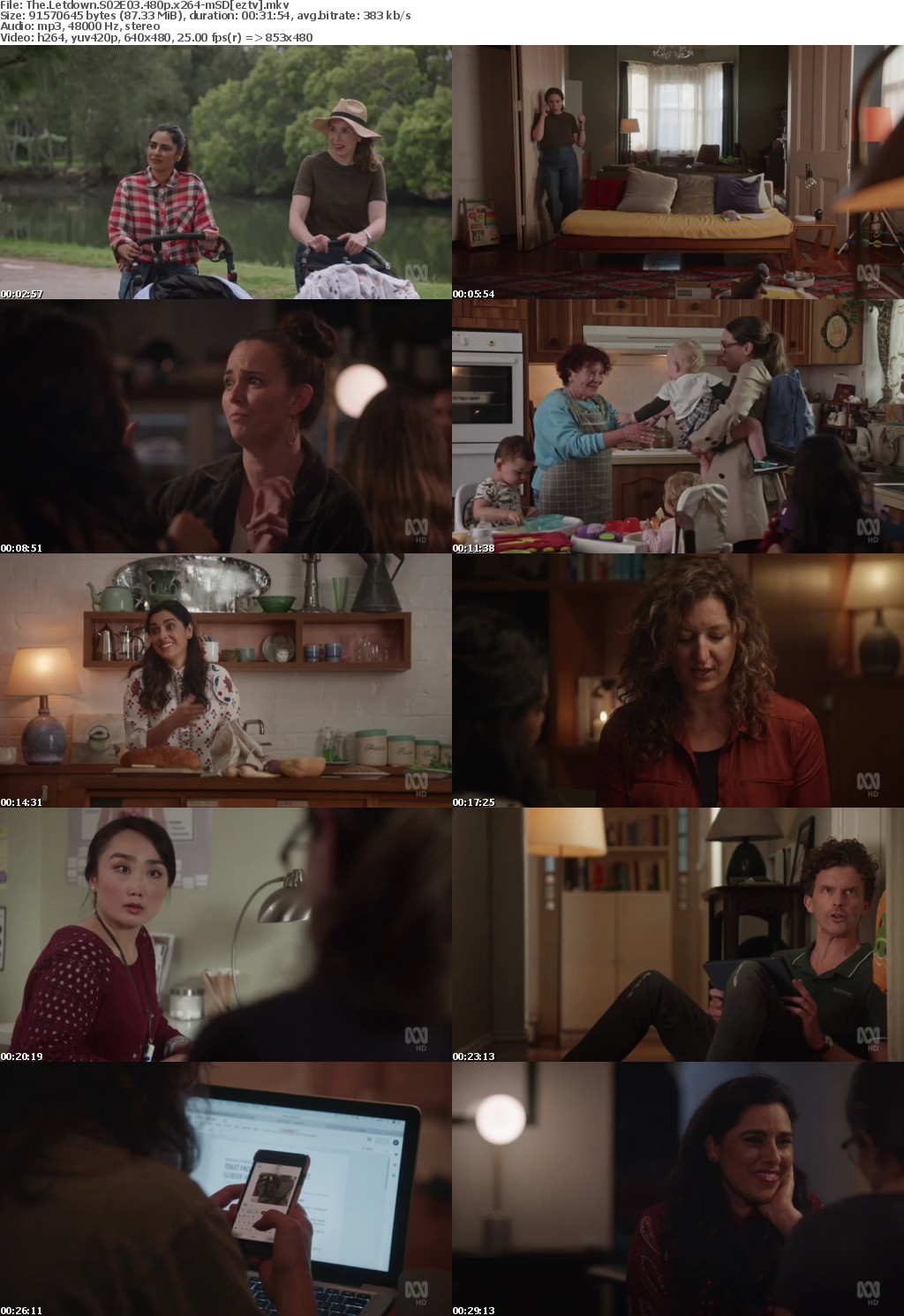 The Letdown S02E03 480p x264-mSD The Letdown S02E03 480p x264-mSD