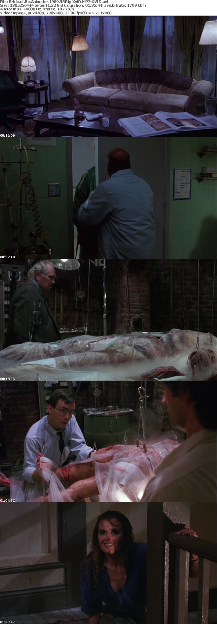 Bride of Re Animator 1989 BRRip XviD MP3-XVID Bride of Re Animator 1989 BRRip XviD MP3-XVID
