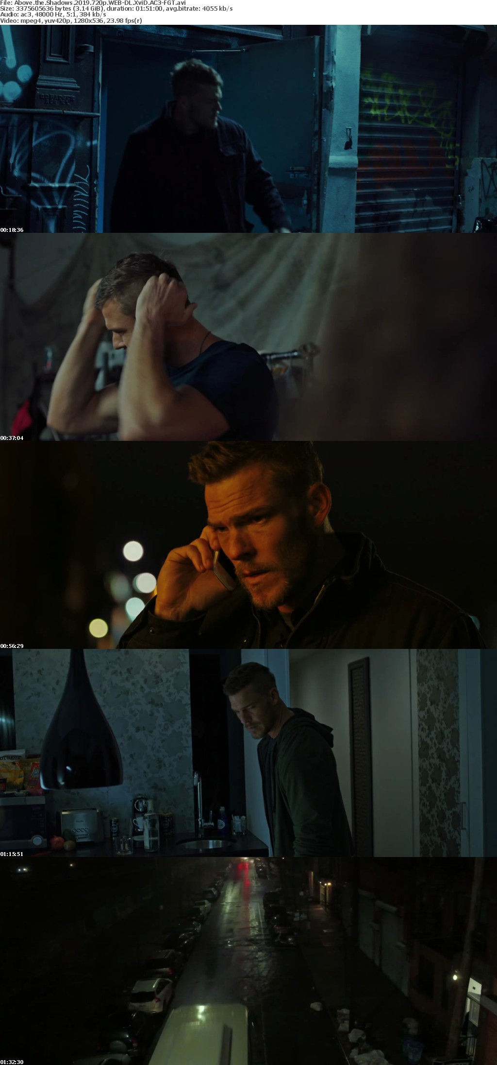 Above the Shadows 2019 720p WEB-DL XviD AC3-FGT Above the Shadows 2019 720p WEB-DL XviD AC3-FGT