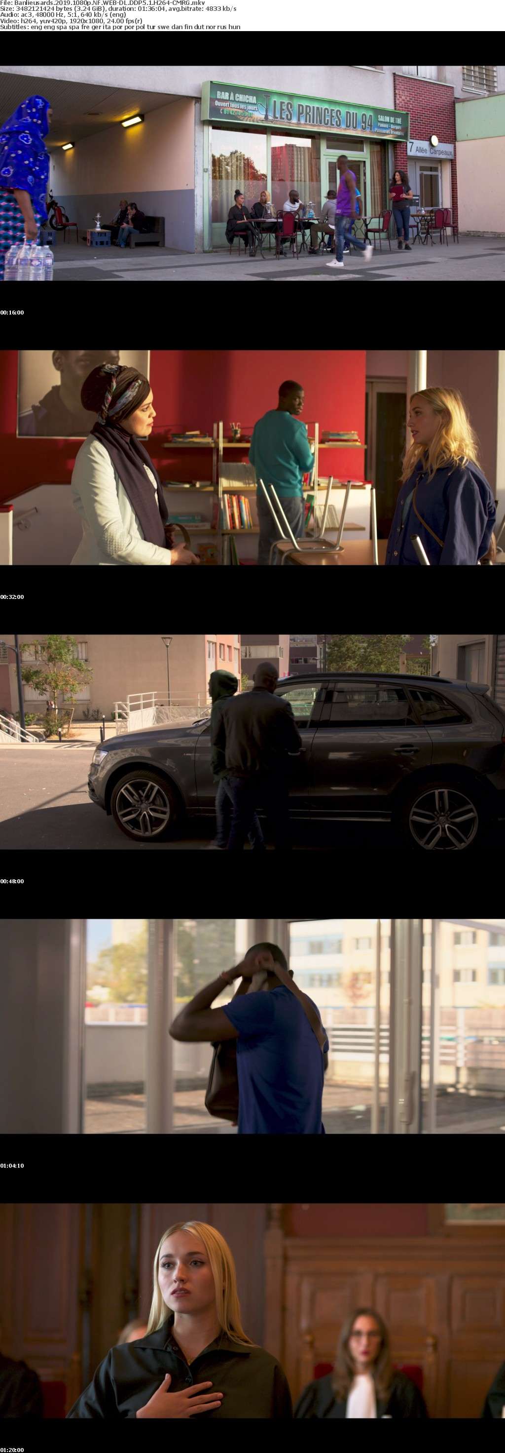 Banlieusards 2019 1080p NF WEBRip DDP5 1 x264-CM Banlieusards 2019 1080p NF WEBRip DDP5 1 x264-CM